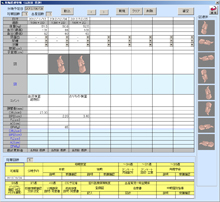 電子カルテ（産科・婦人科） 妊婦健診カルテ機能 画面